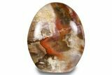 Free-Standing, Polished Petrified Wood - Madagascar #256711-1